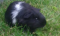 IMAG0903.jpg