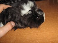 IMG_0057.jpg