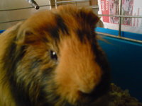 DSC00634.JPG