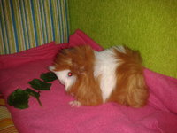 2012-08-27 14.52.24.jpg