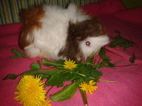 2012-08-27 15.10.13.jpg
