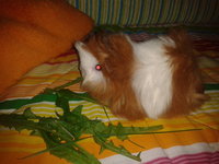 2012-08-27 14.43.05.jpg