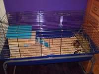 bbb09032012255.JPG