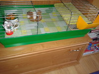 2012-08-29 12.59.48.jpg
