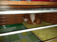 2012-08-29 12.56.41.jpg