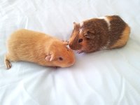 bbb20120830_145141.jpg
