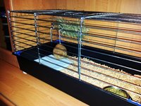 bbb20120830_204017.jpg