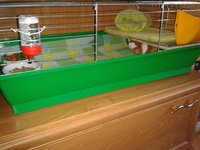 2012-08-29 13.05.28.jpg