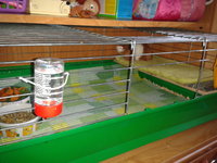 2012-08-29 12.58.52.jpg