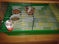 2012-08-29 13.01.14.jpg