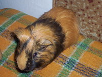 100_5764.JPG