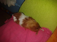 2012-09-01 13.36.36.jpg