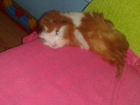 2012-09-01 13.54.05.jpg