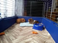 bbb20120901_150608.jpg