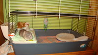 DSC02160.JPG