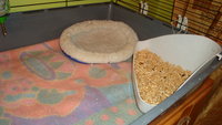 DSC02161.JPG