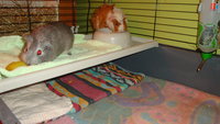DSC02163.JPG