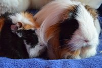 DSC_0059.jpg