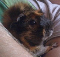 DSC_0095.jpg