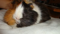 DSC02267.JPG