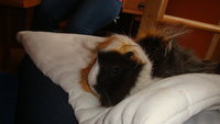 DSC02264.JPG