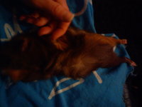 DSC00321.jpg