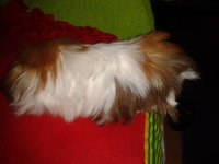 2012-09-13 15.47.57.jpg