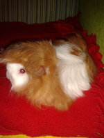 2012-09-13 15.44.25.jpg
