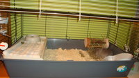 DSC02652.JPG