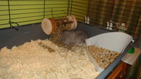 DSC02654.JPG