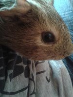 20120926_155329.jpg