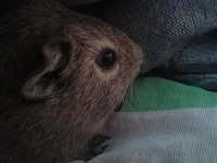 20120926_155646.jpg