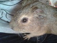 20120926_155759.jpg
