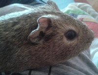 20120926_155908.jpg