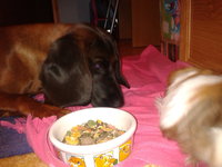 2012-10-02 18.00.24.jpg