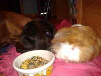 2012-10-02 18.00.33.jpg