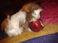 2012-10-02 18.16.16.jpg