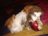 2012-10-02 18.16.35.jpg