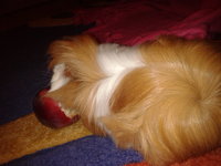 2012-10-02 18.18.43.jpg