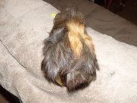 DSCF2338.JPG (154.21 KiB) Przejrzano 2560 razy DSCF2338.JPG