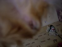 DSCN3167.JPG