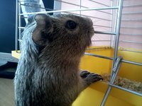 DSC00474M.JPG