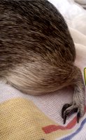 DSC00448MďzWpmg+pgw.JPG