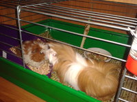2012-10-16 17.54.30.jpg