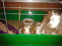 2012-10-16 17.54.44.jpg
