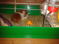 2012-10-16 17.55.05.jpg