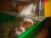 2012-10-16 19.52.24.jpg