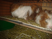 2012-10-16 19.49.11.jpg