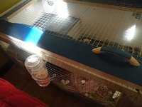 DSCN2186.JPG