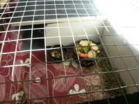 DSCN2187.JPG